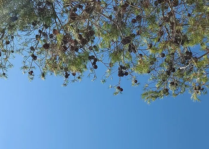 Pensjonat Mediterranean Hvar Town