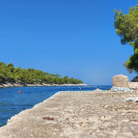 Mediterranean ゲストハウス 3*